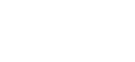 Hongkong Dongsheng Metal Trading Co., Ltd.